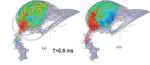 Response of Woodpecker’s Head during Pecking Process Simulated by Material Point Method