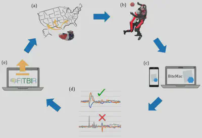Open-access mTBI data workflow and impact-detection pipeline.