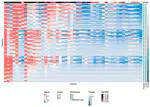 Predictive Factors of Kinematics in Traumatic Brain Injury from Head Impacts Based on Statistical Interpretation