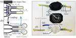 A wearable hydraulic shock absorber with efficient energy dissipation