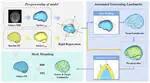 Quantifying Morphology-Related Deviations in Brain Strain Using an Automated Mesh Morphing Method