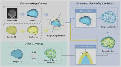 Deformation pipeline for subject-specific finite element head model.